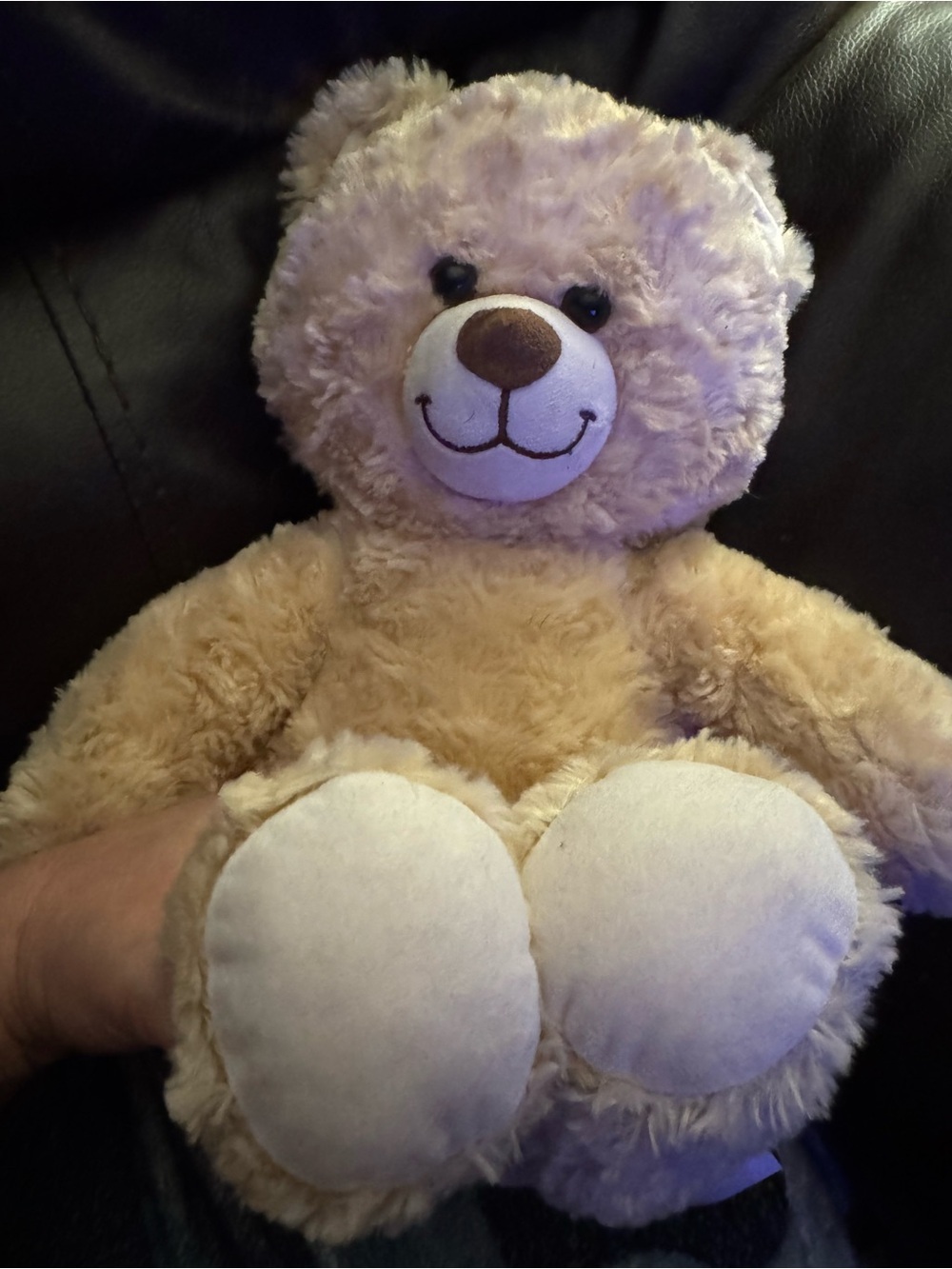 Build a bear workshop Happy Hugs teddy bear plush toy NEW
